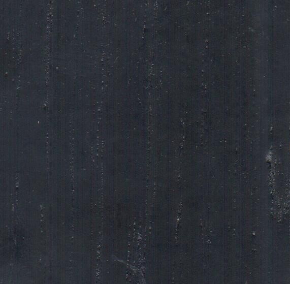 Дуб чёрный